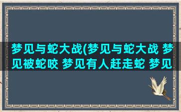 梦见与蛇大战(梦见与蛇大战 梦见被蛇咬 梦见有人赶走蛇 梦见过生日)